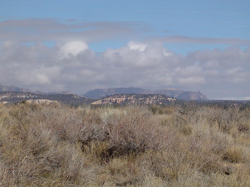 DSC04726.JPG