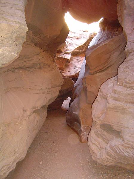 SRS_little_wild_horse13.JPG
