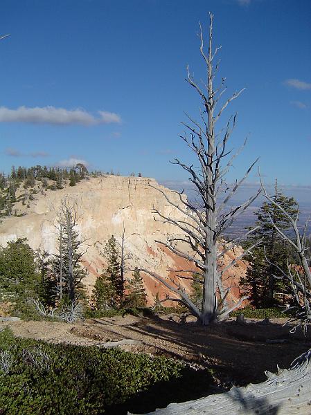 bryce_view10.JPG