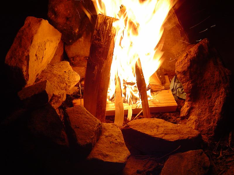 gooseberry_fire.JPG
