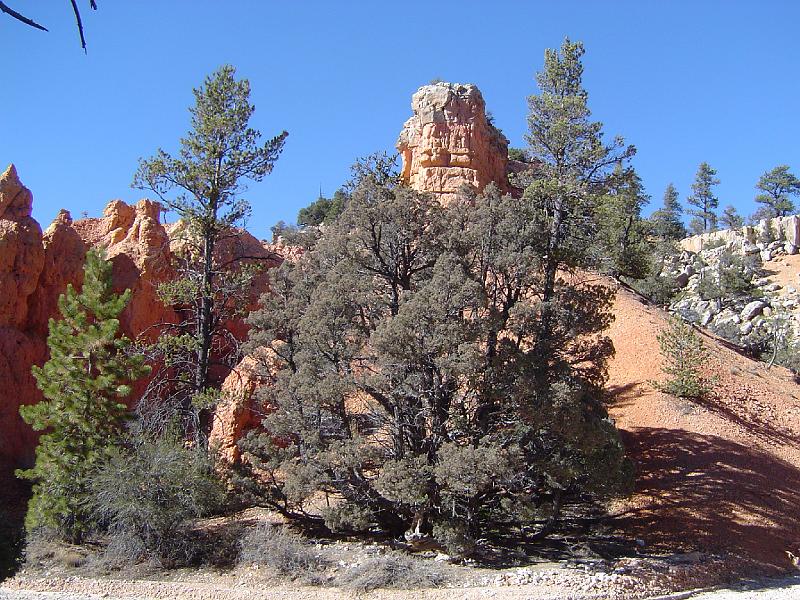 thunder_loop_hoodoo.JPG