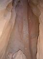SRS_little_wild_horse15