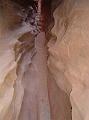 SRS_little_wild_horse16