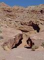 SRS_little_wild_horse2