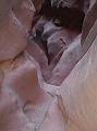 SRS_little_wild_horse8