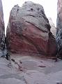 SRS_little_wild_horse9