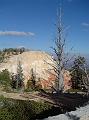 bryce_view10