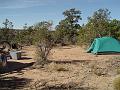 gooseberry_camping2
