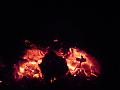 gooseberry_embers