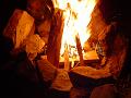 gooseberry_fire