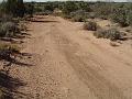gooseberry_proper_road