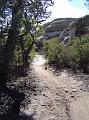 gooseberry_valley