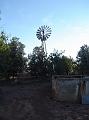 gooseberry_windmill1